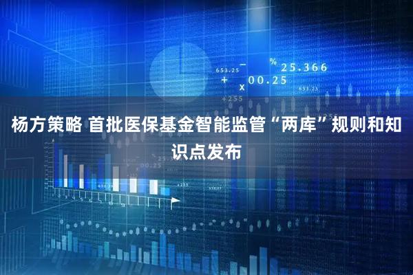 杨方策略 首批医保基金智能监管“两库”规则和知识点发布