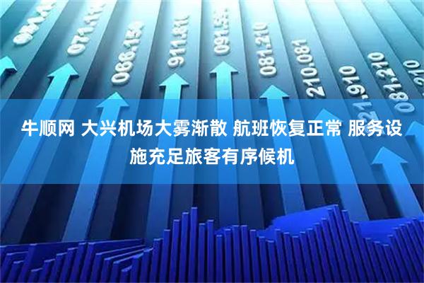 牛顺网 大兴机场大雾渐散 航班恢复正常 服务设施充足旅客有序候机